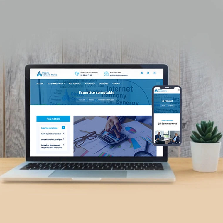 Site Web Directsconseils