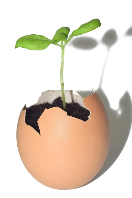 Réalisation Projet ReKrute
